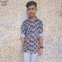 Bhupendra Mali-Freelancer in Udaipur Division,India