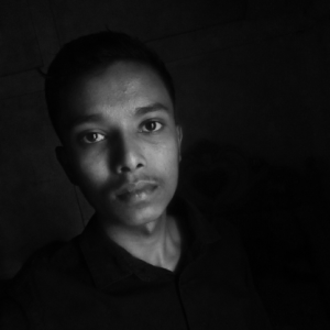 Anhar Hussan-Freelancer in Sylhet,Bangladesh