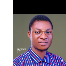 Fayemi Michael-Freelancer in Lagos,Nigeria