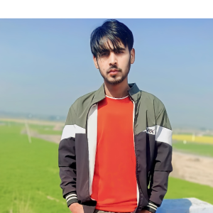 Bablu Gujjar-Freelancer in KOTPUTALI - BEHROR,India