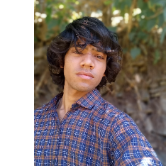 Vikash Singh-Freelancer in Delhi,India