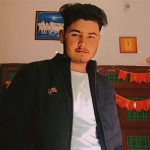 Sahil Arya-Freelancer in KOTPUTLI - BEHROR,India
