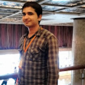Biresh Choudhary-Freelancer in Delhi,India
