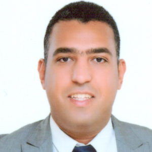 Hazem El Masry-Freelancer in Cairo,Egypt