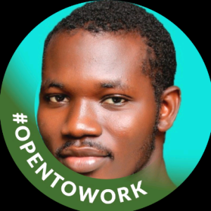 Tajudeen Mukhtar-Freelancer in Lagos,Nigeria
