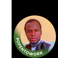 Abdul Wahab Abdullah-Freelancer in Ilorin,Nigeria