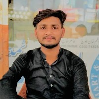 Muhammad Usama Malik-Freelancer in Multan,Pakistan