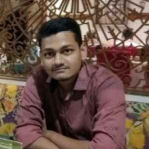 Ankur Patel-Freelancer in Vadodara,India