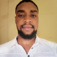 Ifeanyi Umezinwa-Freelancer in Enugu East,Nigeria