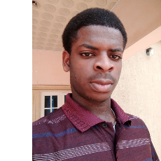Emmanuel-Freelancer in Lagos,Nigeria