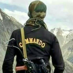 Shekhar Chaudhary-Freelancer in Dehradun,India