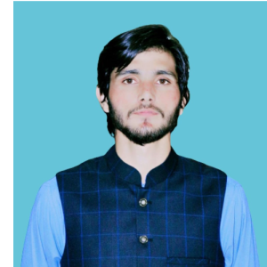 Imtiaz Malik-Freelancer in Rawalpindi,Pakistan