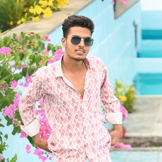 Aashish Meghwal-Freelancer in Udaipur,India