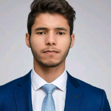 Md Sumon Ali-Freelancer in Ranisonkail,Bangladesh