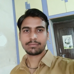 Anand Sharma-Freelancer in L-638, Teacher Colony, Gupteshwar Road, Dausa,India