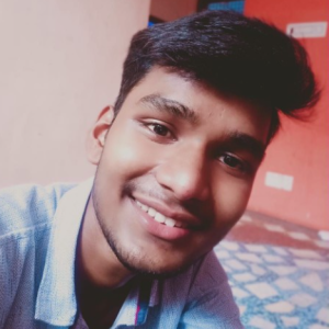 Abhimanyu Singh-Freelancer in Aligarh Division,India