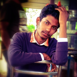 Pruthvi-Freelancer in Banglore,USA