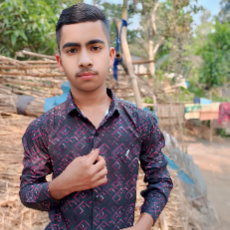 Najmul Hossain-Freelancer in Sirajgonj,Bangladesh