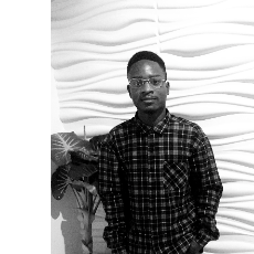Lukman Olayemi-Freelancer in Lagos,Nigeria