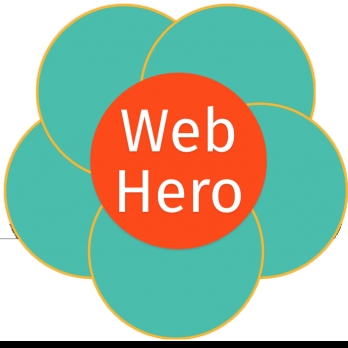 Web Hero-Freelancer in Lahore,Pakistan