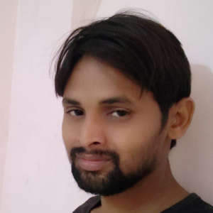 Hemant Kumar Meena Meena-Freelancer in Jaipur,India