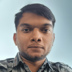 Pravin Prajapati-Freelancer in Vadodara,India