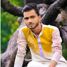 Almaas Ansari-Freelancer in Meerut,India