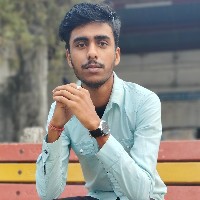 Ashim Sarkar-Freelancer in Kokrajhar,India