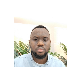 Robinson Okorie-Freelancer in Lagos,Nigeria