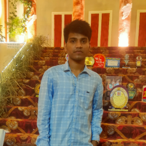 Rabi Shankar Murmu-Freelancer in Kolkata,India