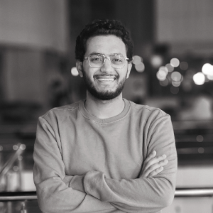 Mohamed Fawzy El-sawy-Freelancer in cairo,Egypt