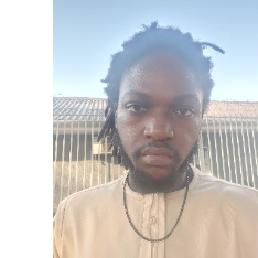 King David Abaya-Freelancer in Abuja,Nigeria