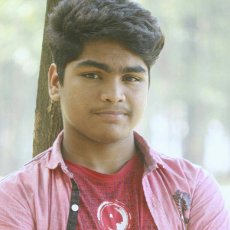 Sozeeb Hossain Sumon-Freelancer in Rangpur,Bangladesh