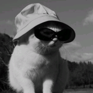 Garima Sawant-Freelancer in Pune,India