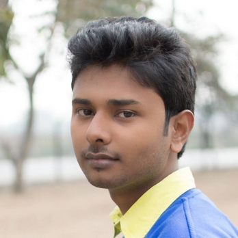 Dipanjan Saha-Freelancer in Kolkata,India
