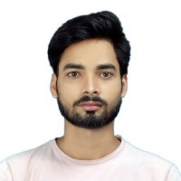 Raviraj kumar-Freelancer in Munger Division,India