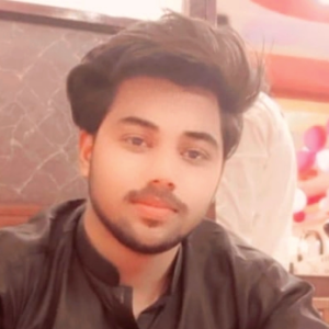 Majid Hussain-Freelancer in Lahore,Pakistan