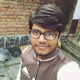 Vinod Kumar-Freelancer in Raipur,India