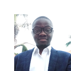 Adegbola Adebisi-Freelancer in Lagos,Nigeria