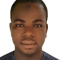 Idris Muhammad-Freelancer in Suleja, Niger State,USA