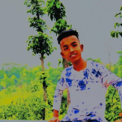 Mahde Hasan-Freelancer in Sylhet,Bangladesh