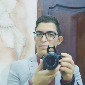 Mohamed Hamis-Freelancer in Mansoura,Egypt