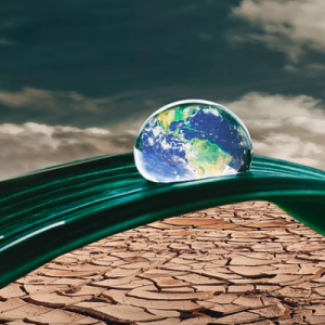 Moniba-Freelancer in Rawalpindi,Pakistan