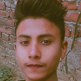 Mohd Kais Ansari-Freelancer in Prayagraj,India