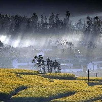 Tuhin Das-Freelancer in Presidency Division,India