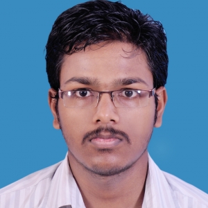 Ramesh A-Freelancer in Bengaluru Area, India,India