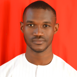 Nnamdi Francis Nwanokwara-Freelancer in Abuja,Nigeria