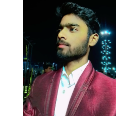 Mohit Gangwar-Freelancer in Bisalpur,India