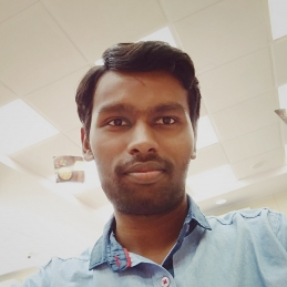 Nilesh-Freelancer in Bengaluru,India