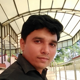 Bhushan Borse-Freelancer in Navi Mumbai,India
